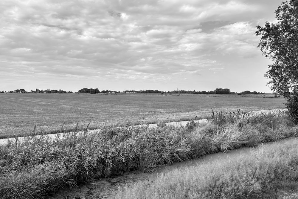 Brede horizon boven het Friese landschap